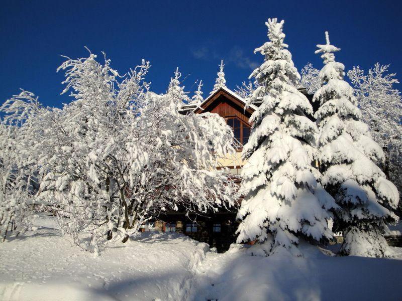 Ferienhaus-bergtraum-ferienwohnung-lilli